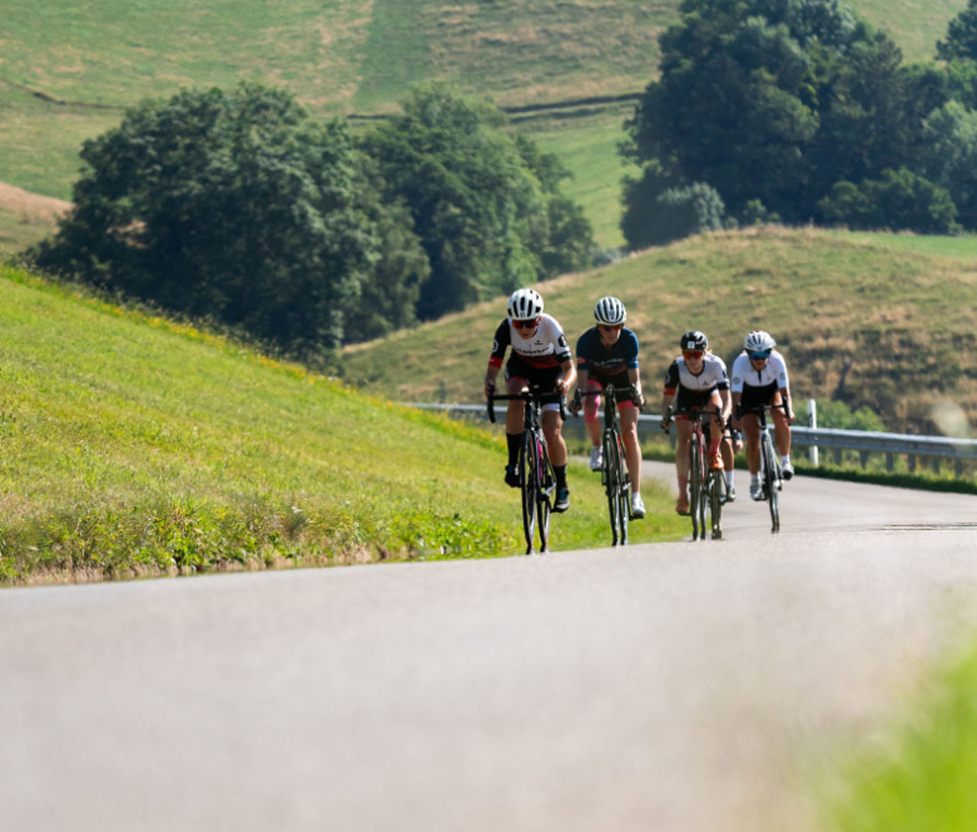 zelt lagerzelt Basic 4x8m PE 700 Weiß – Jetzt bei Dancover bestellen Gray Top gear 1st episode Tasse:dunkelgrüne Tasse