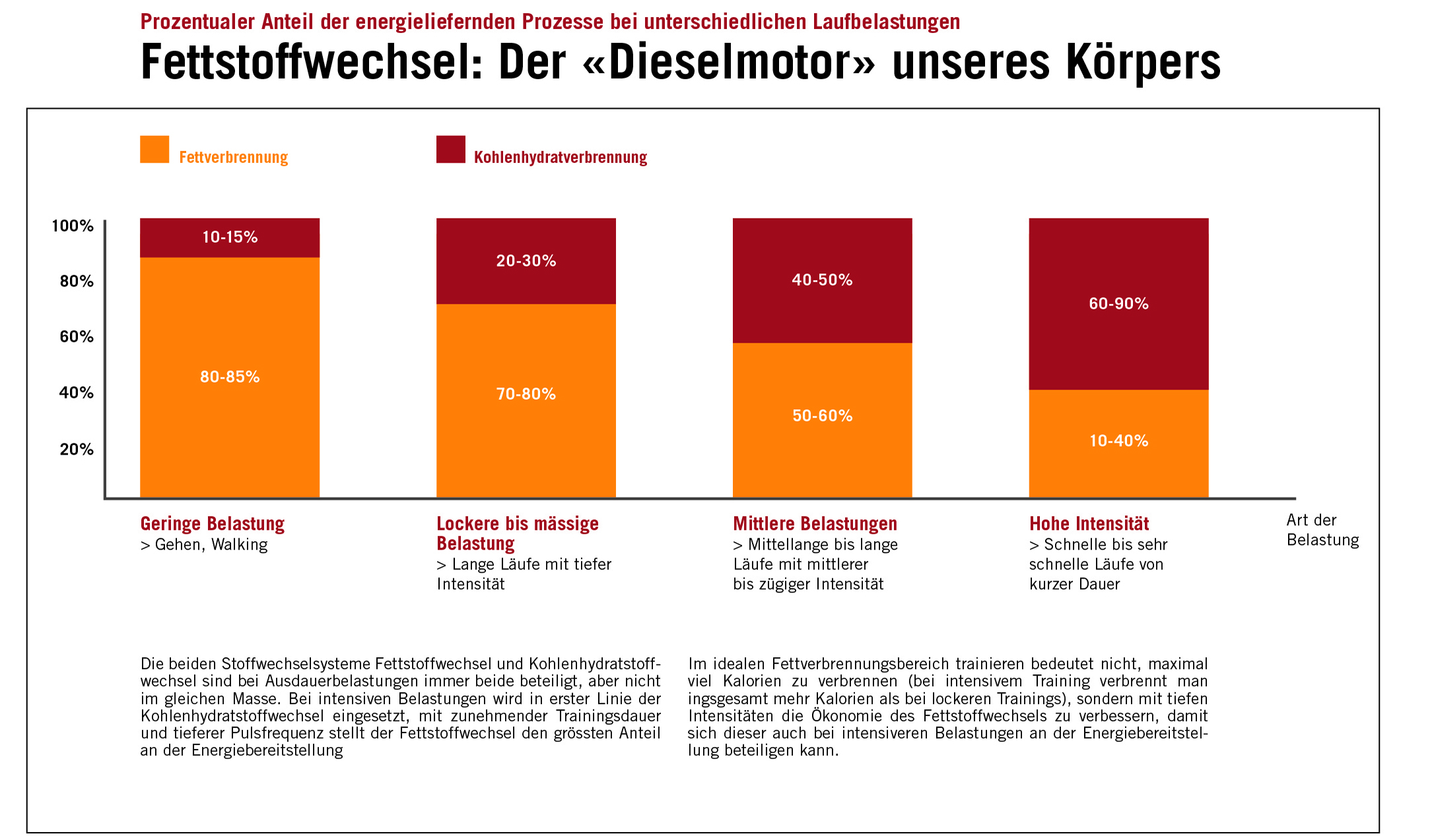 Grafik Fettstoffwechsel
