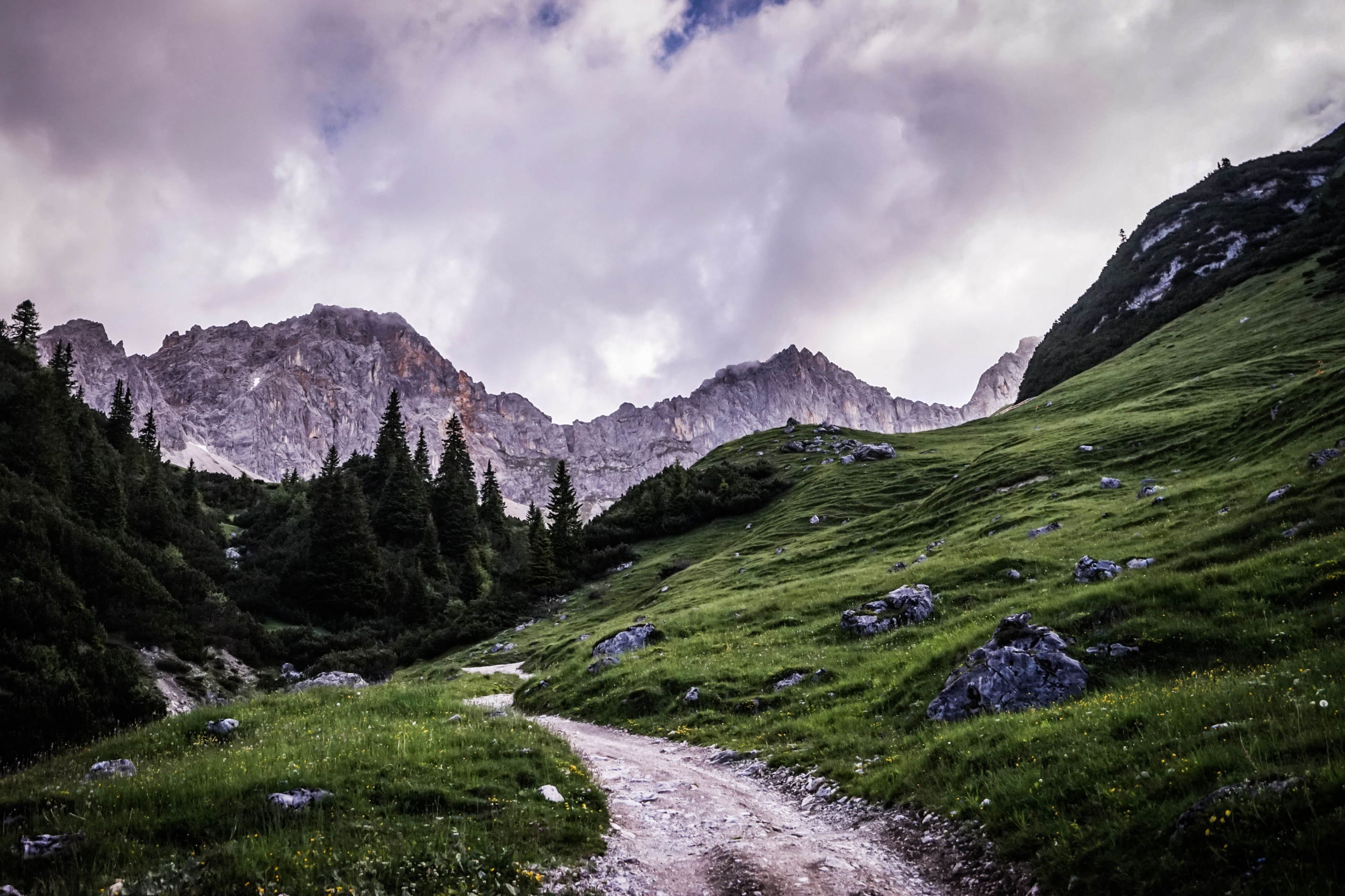 Weg hinauf in die Berge
