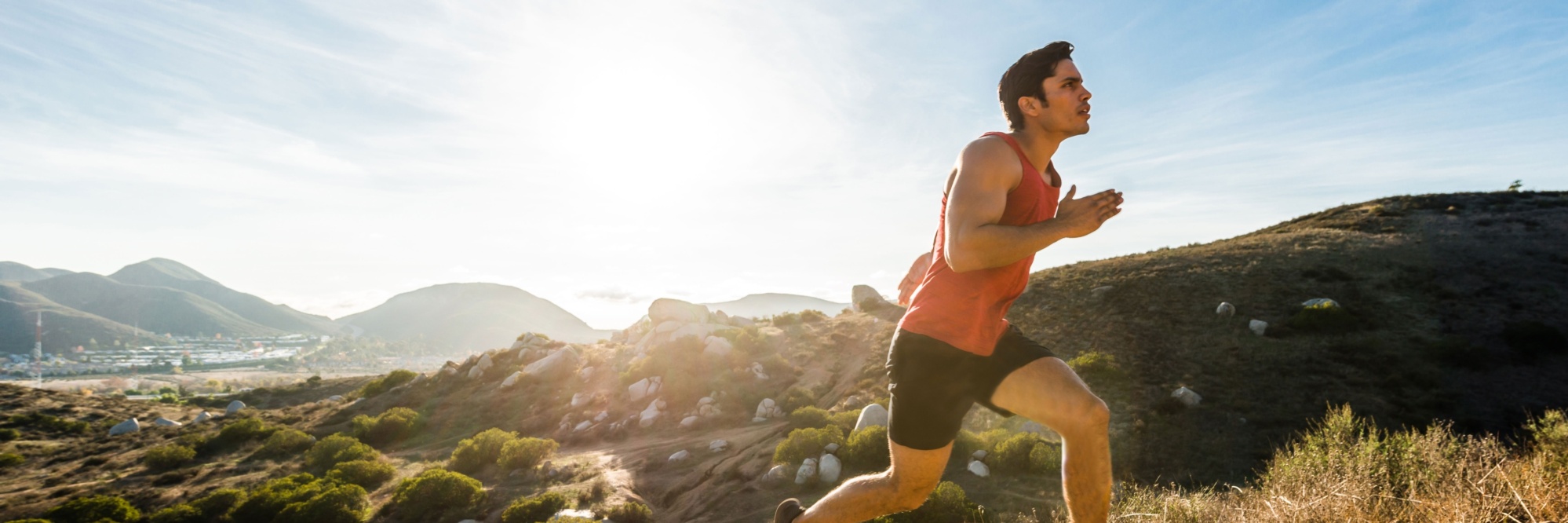 8DA6A563-506B-8D2B-0B2D4E7539EF14AC_page-header-xxxl-1x.jpg
