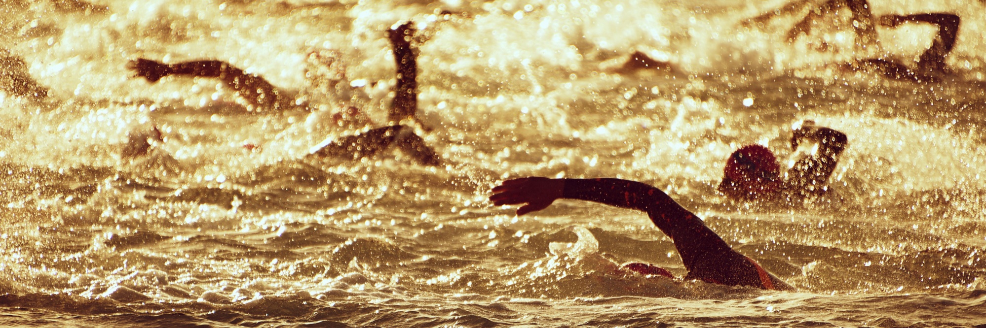 219668E3-506B-8DDA-1324B0BA947C88AF_page-header-xxxl-1x.jpg