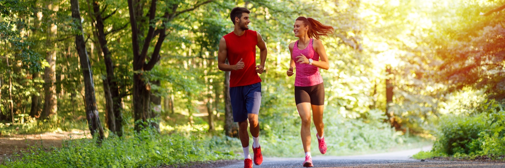 441AC425-506B-8D93-B68336560B3EB200_page-header-xxxl-1x.jpg