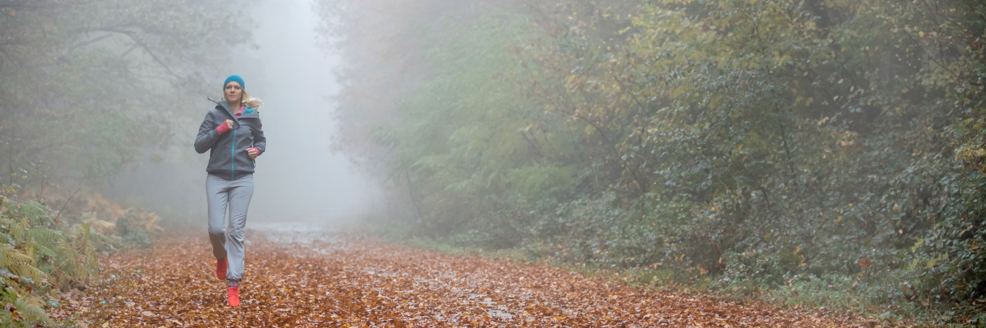 977F1ADE-506B-8DB5-C58607C77CE9F145_page-header-xxxl-1x.jpg