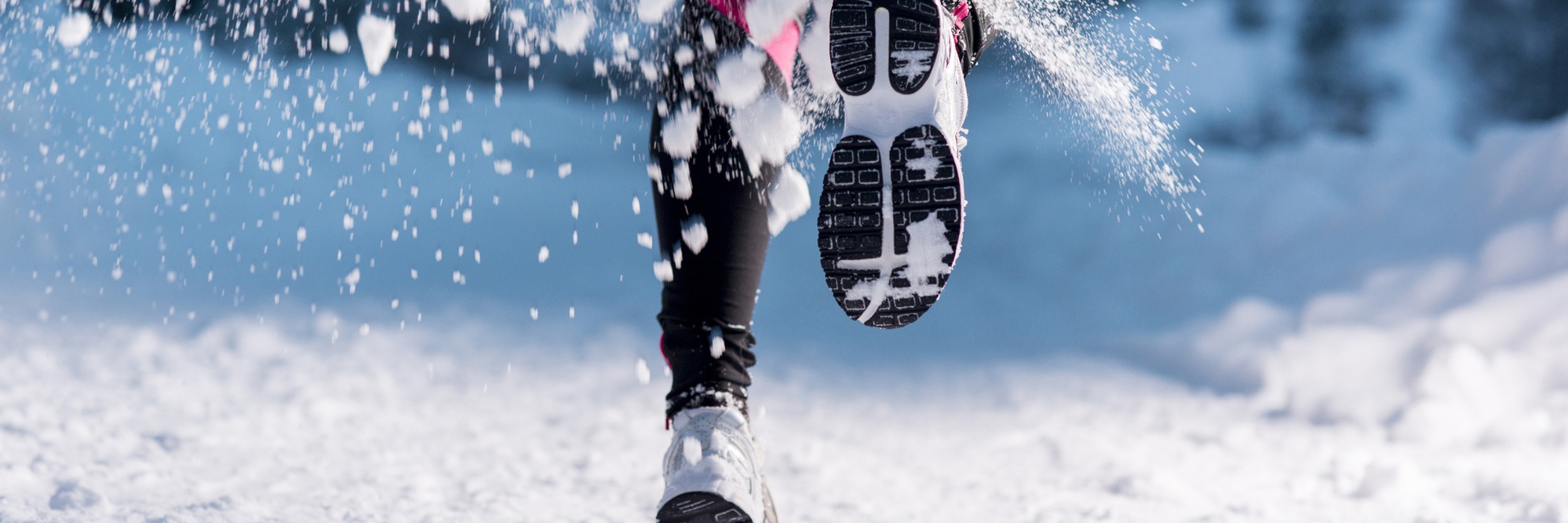 AEA4AFF9-506B-8D9A-AA720D9453966D40_page-header-xxxl-1x.jpg
