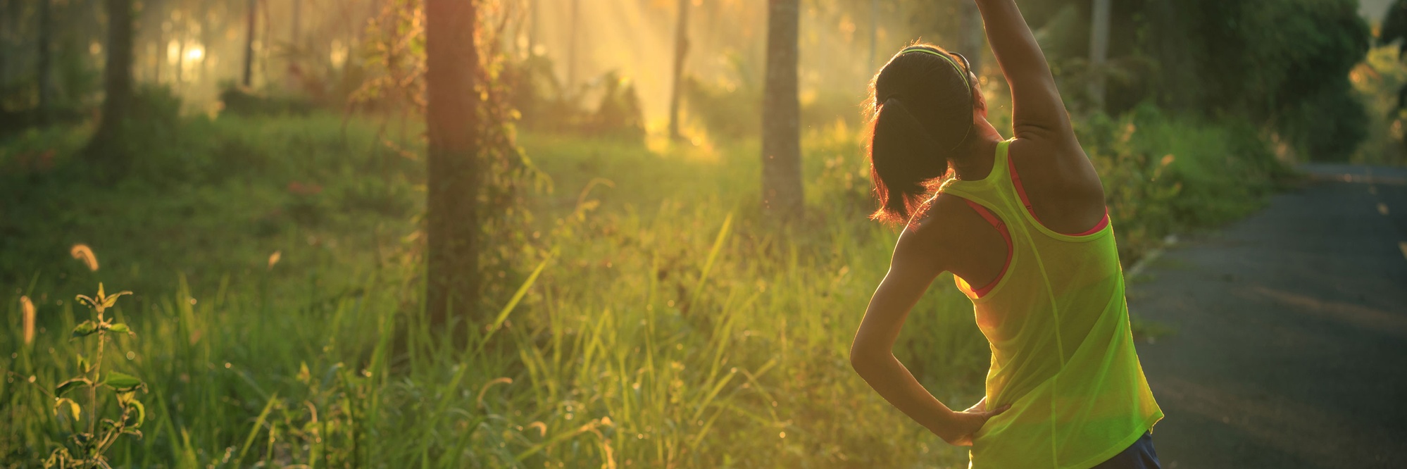 C456AEE2-506B-8D9A-AA7260EA0D7EF766_page-header-xxxl-1x.jpg