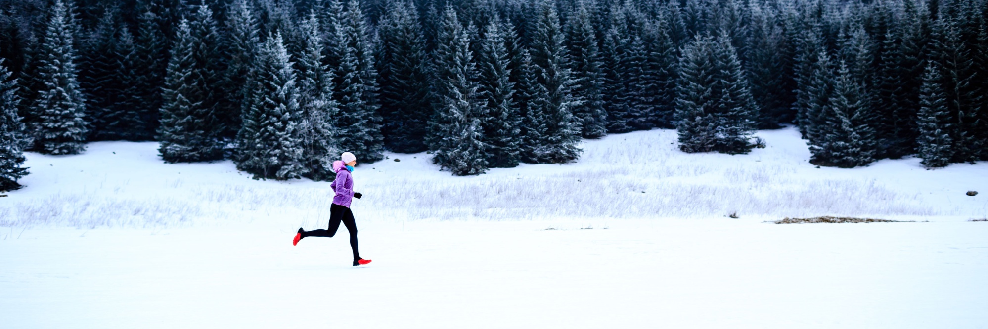 54621BB0-506B-8D3B-60F8D5D48BC1D71B_page-header-xxxl-1x.jpg