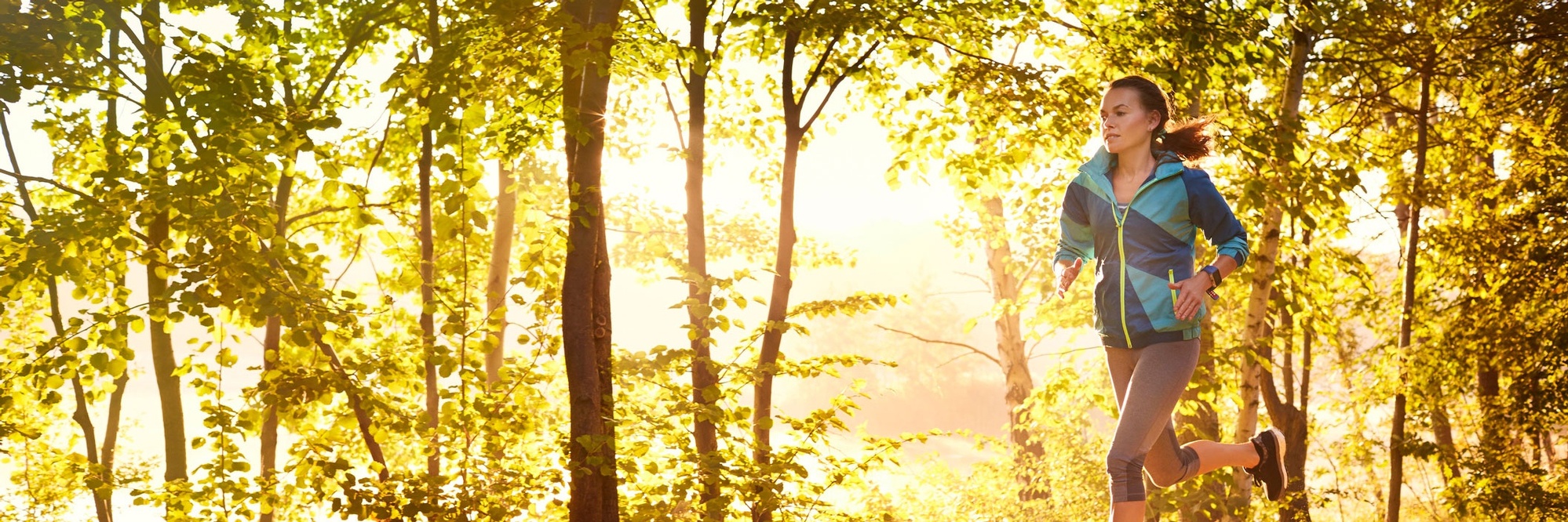 6DCBBF97-506B-8D7F-B25F64A6FE20DD40_page-header-xxxl-1x.jpg