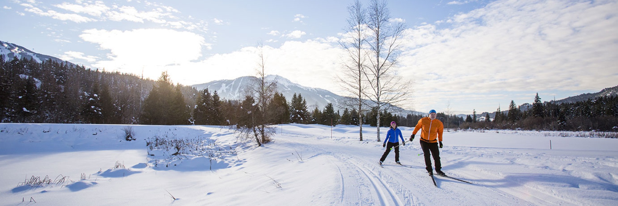 C3A6A6E1-506B-8D55-57E241FF3EA8AAC2_page-header-xxxl-1x.jpg