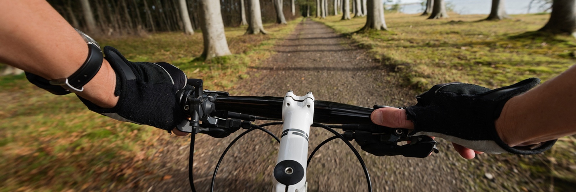 carbon giant rennrad TCR Advanced 2 M Motiv:Glumanda (Schwarz) Te invitamos a visitar _tab1_material-paper